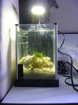 Fluval2GalFullView 2 Gallon Fluval Spec Desktop Aquarium