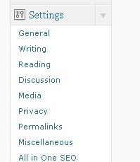 All In One SEO 1